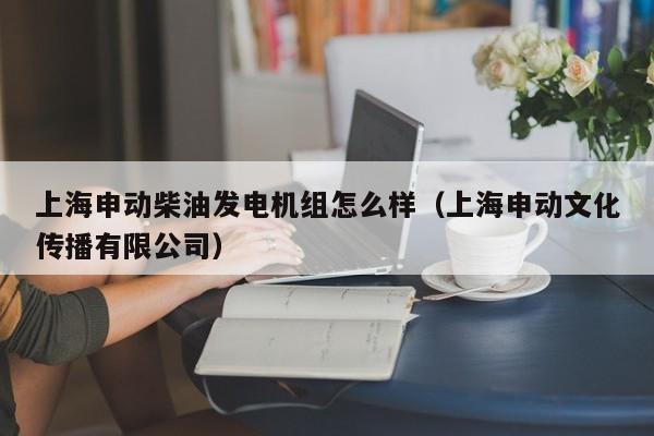 上海申动柴油发电机组怎么样（上海申动文化传播有限公司）