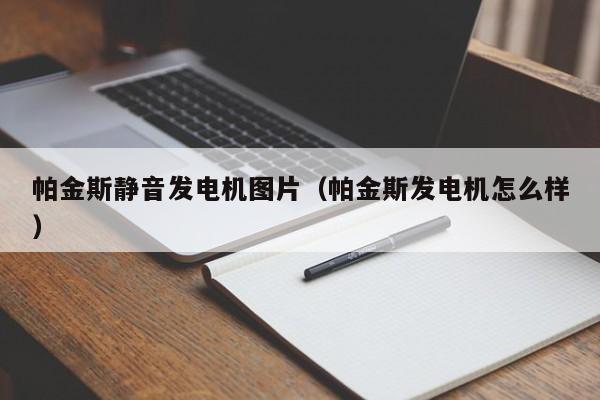 帕金斯静音发电机图片（帕金斯发电机怎么样）