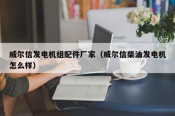 威尔信发电机组配件厂家（威尔信柴油发电机怎么样）