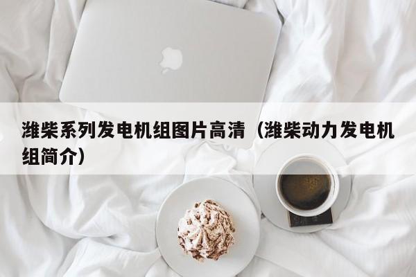 潍柴系列发电机组图片高清（潍柴动力发电机组简介）