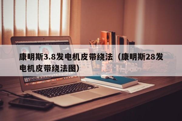 康明斯3.8发电机皮带绕法（康明斯28发电机皮带绕法图）