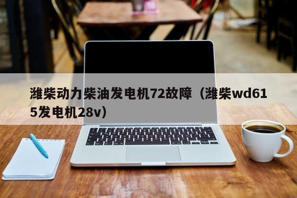 潍柴动力柴油发电机72故障（潍柴wd615发电机28v）