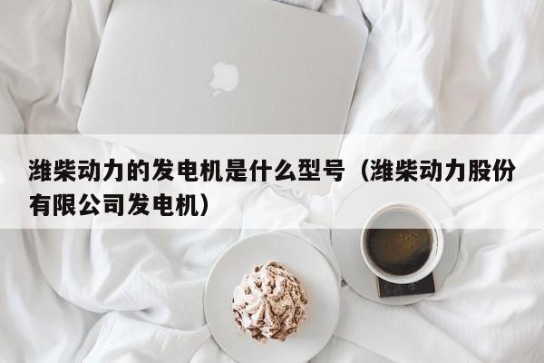 潍柴动力的发电机是什么型号（潍柴动力股份有限公司发电机）