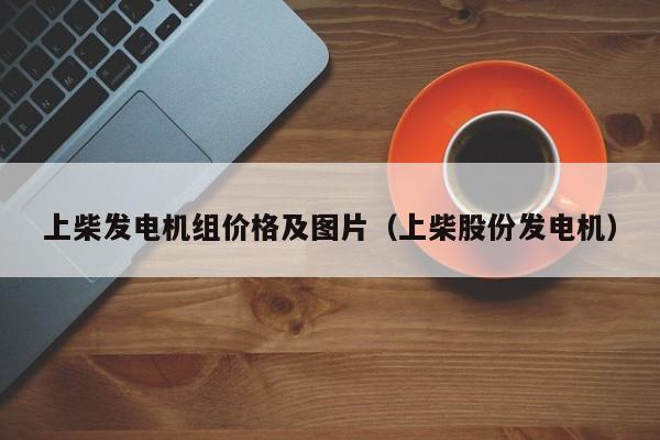 上柴发电机组价格及图片（上柴股份发电机）