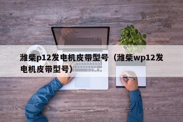 潍柴p12发电机皮带型号（潍柴wp12发电机皮带型号）