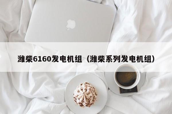 潍柴6160发电机组（潍柴系列发电机组）