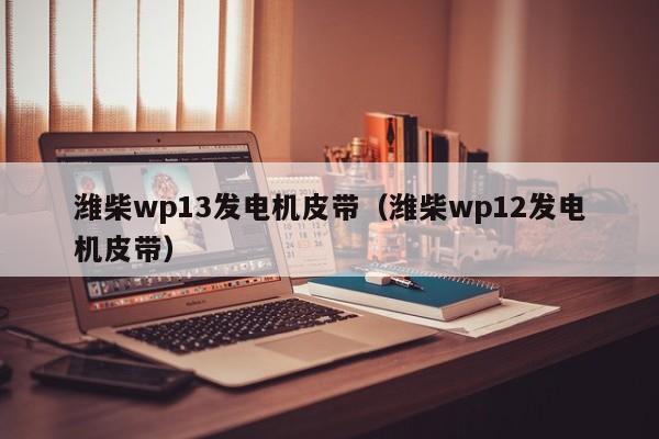 详细阅读:潍柴wp13发电机皮带(潍柴wp12发电机皮带) 潍柴wp13发电机皮带(潍柴wp12发电机皮带)