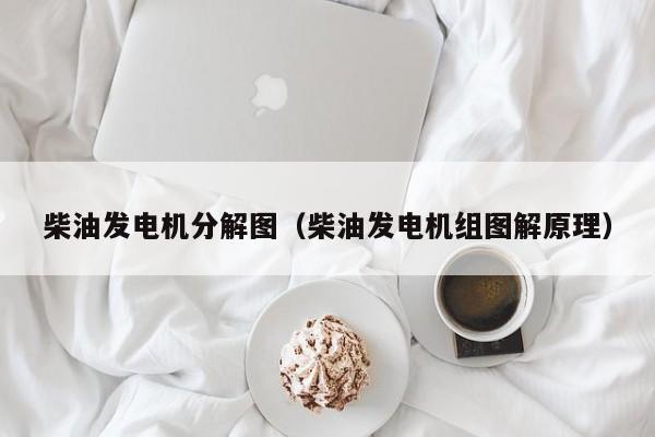 柴油发电机分解图（柴油发电机组图解原理）